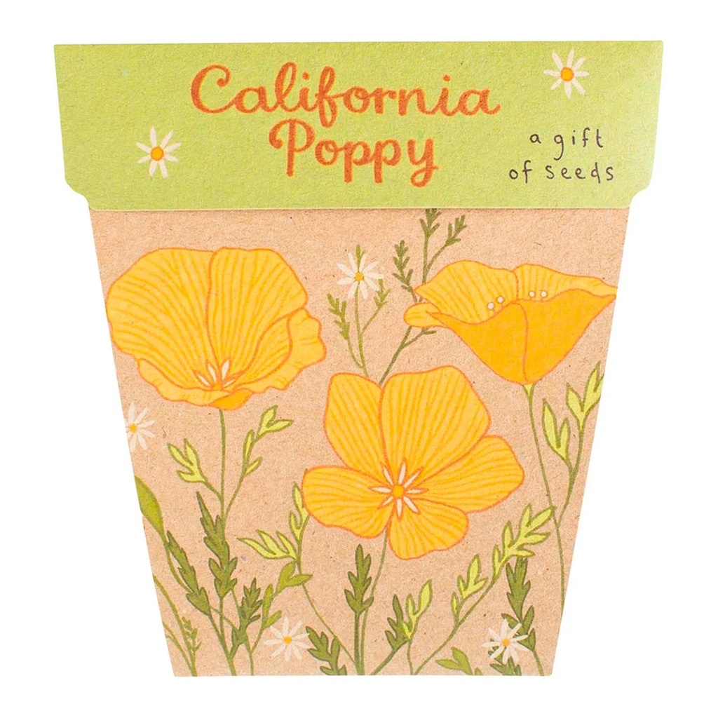 SOW 'N SOW | Gift of Seeds California Poppy
