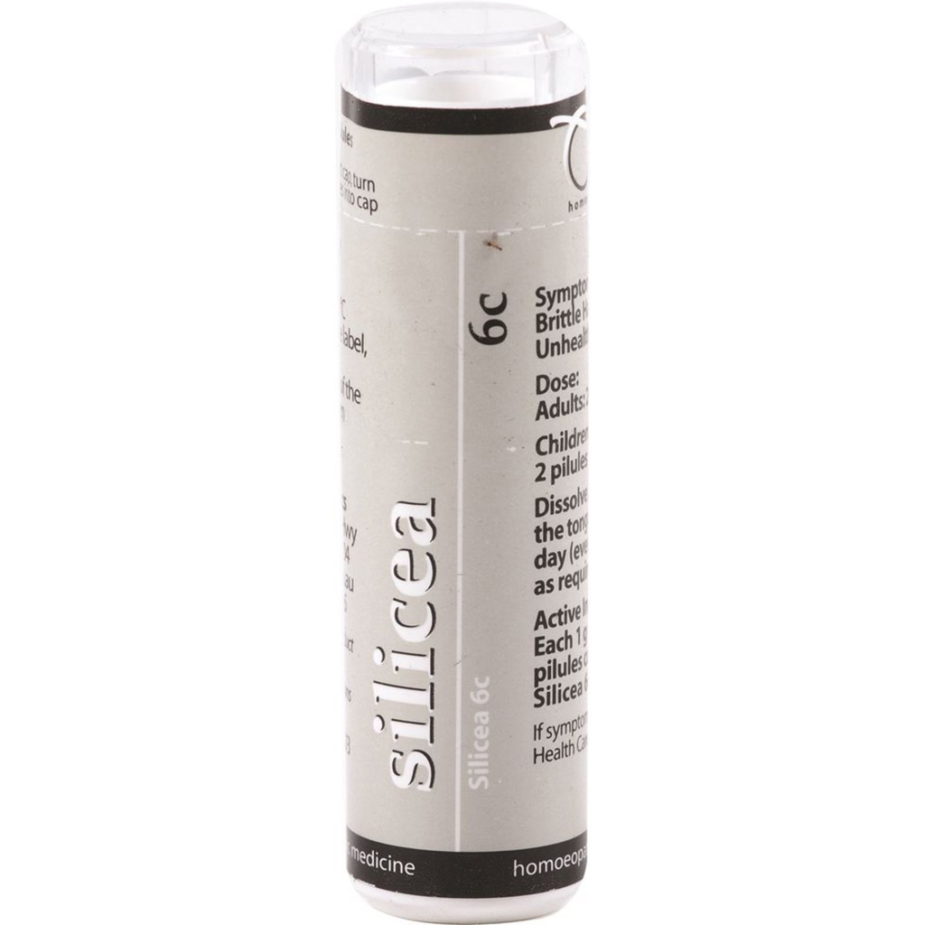 WEN HOMOEOPATHICS | 二氧化矽 6C 120 药丸