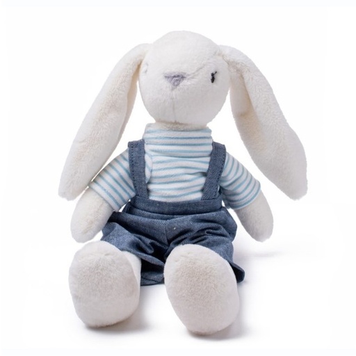 Archie the Rabbit