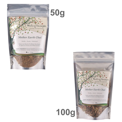 HEALING CONCEPTS | Organic Blend Mother Earth Chai