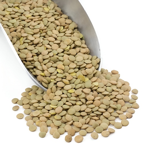 SAVY ORGANICS| Lentils – Whole Green Laird 5kg