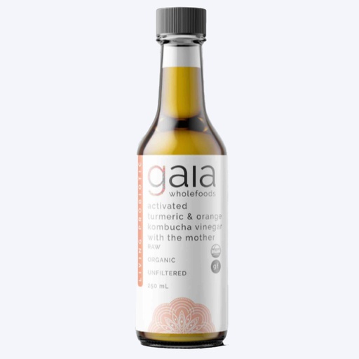 GAIA | 康普茶醋激活姜黄与橙味，250ml