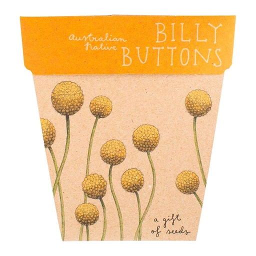SOW 'N SOW | Gift of Seeds Billy Buttons
